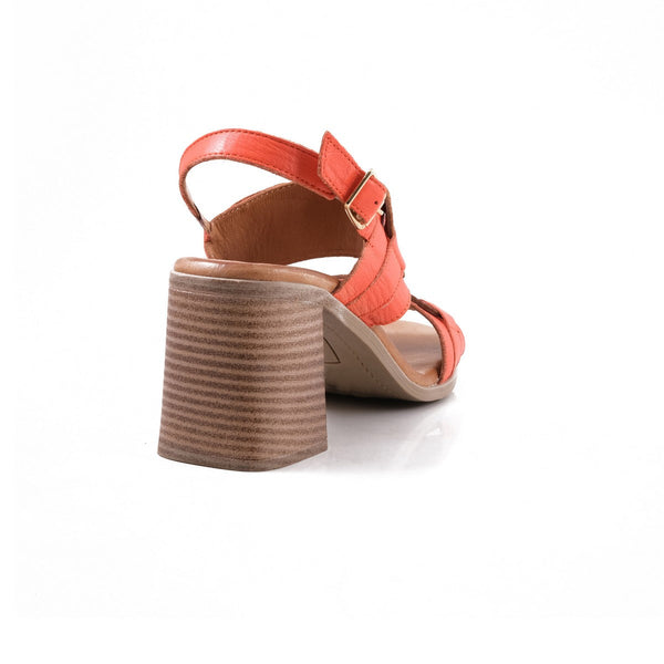 Pesso Shandra Coral Multi